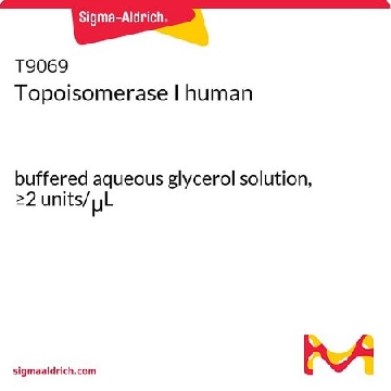Topoisomerase I human，250UNITS，T9069-250UN，Sigma
