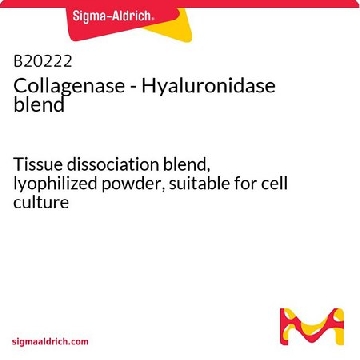 Collagenase - Hyaluronidase blend，1VIAL，B20222-1VL，Sigma