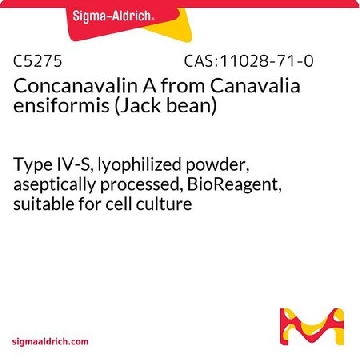 伴刀豆球蛋白A 来源于洋刀豆 （刀豆），5MG，C5275-5MG，Sigma