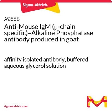 Anti-Mouse IgM (μ-chain specific)–Alkaline Phosphatase antibody produced in goat，1ML，A9688-1ML，Sigma