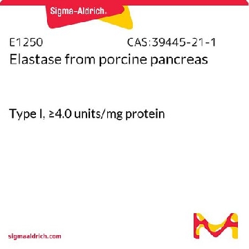 弹性蛋白酶 来源于猪胰腺，100MG，E1250-100MG，Sigma