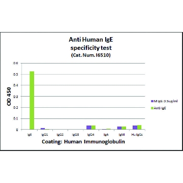 Monoclonal Anti-Human IgE antibody produced in mouse，0.1ML，I6510-.1ML，Sigma