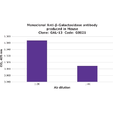 Monoclonal Anti-β-Galactosidase antibody produced in mouse，100UL，G8021-100UL，Sigma