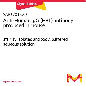 Anti-Human IgG (H+L) antibody produced in mouse，1MG，SAB3701329-1MG，Sigma