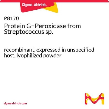 Protein G−Peroxidase from Streptococcus sp.，250UG，P8170-250UG，Sigma