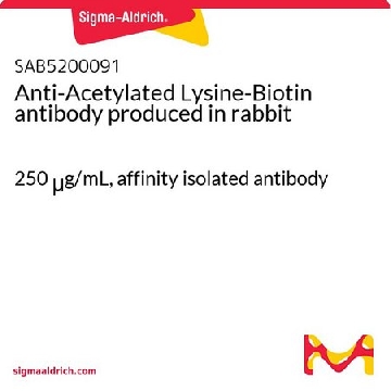 Anti-Acetylated Lysine-Biotin antibody produced in rabbit，400UL，SAB5200091-400UL，Sigma