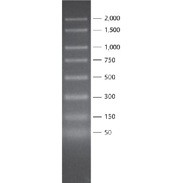 PCR 50 - 2,000 bp 标记物，1VIAL，P9577-1VL，Sigma