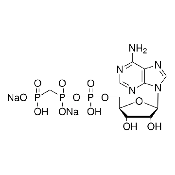 β,γ-亚甲基腺苷 5′-三磷酸 二钠盐，10MG，M7510-10MG，Sigma
