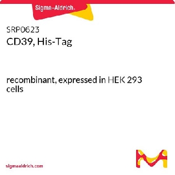 CD39, His-Tag，50UG，SRP0623-50UG，Sigma