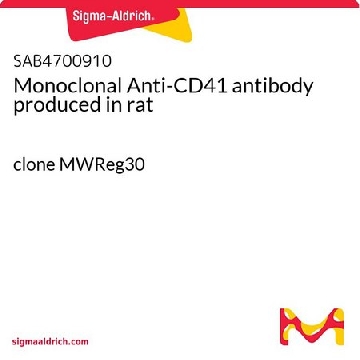 Monoclonal Anti-CD41 antibody produced in rat，100UG，SAB4700910-100UG，Sigma