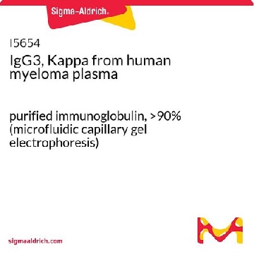 IgG3，κ 来源于人类骨髓瘤血浆，1MG，I5654-1MG，Sigma