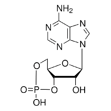 腺苷-3′,5′-环单磷酸，1G，A9501-1G，Sigma