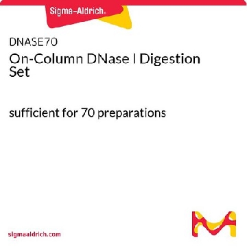 柱上 DNase I 消化套装，1SET，DNASE70-1SET，Sigma