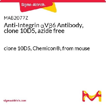 抗整合素αVβ 6抗体，克隆10D5，无叠氮化物，100UG，MAB2077Z，Sigma