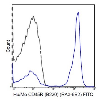 Anti-CD45R (B220) Antibody (human/mouse), FITC, clone RA3-6B2，25UG，MABF608，Sigma