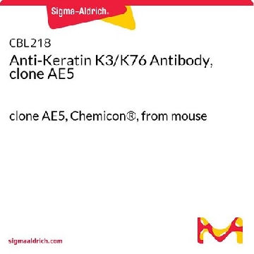 Anti-Keratin K3/K76 抗体，克隆 AE5，100UG，CBL218，Sigma
