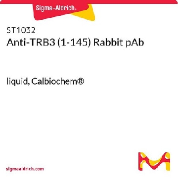 Anti-TRB3 (1-145) Rabbit pAb，100UL，ST1032-100ULCN，Sigma