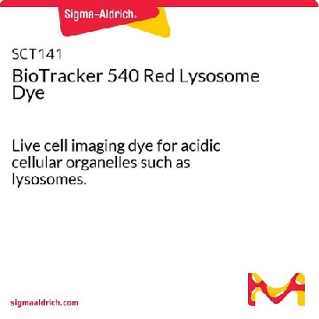 BioTracker 540 Red Lysosome Dye，50Y56，SCT141，Sigma