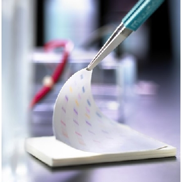 Immobilon®-E PVDF Membrane，10EA，IEVH08100，密理博
