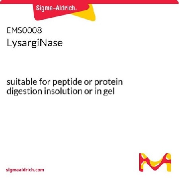 赖氨酸精氨酸N 端蛋白酶，1EA，EMS0008，Sigma