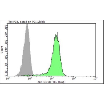 抗-Microsialin/CD68抗体，克隆9，100UG，MABF216，Sigma