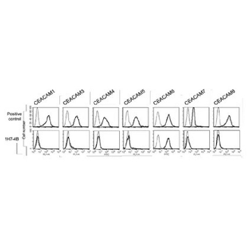 Anti-CEACAM6 Antibody, clone 1H7-4B，100UG，MABT323，Sigma
