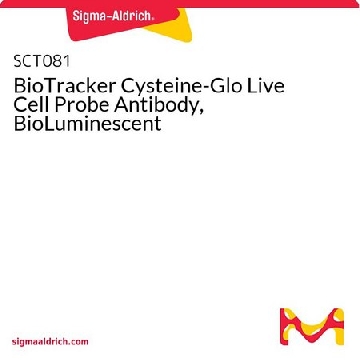 BioTracker Cysteine-Glo Live Cell Probe Antibody, BioLuminescent，1MG，SCT081，Sigma