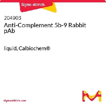 抗补体5b-9 兔pAb，1MG，204903-1MGCN，Sigma