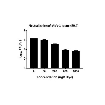 Anti-Norovirus (MNV-1) Antibody, clone 4F9.4，100UG，MABF2096-100UG，Sigma