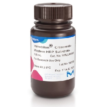Immobilon Crescendo Western HRP底物，100 mL，500ML，WBLUR0500，密理博