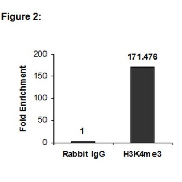 Anti-trimethyl-Histone H3 (Lys4) Antibody, clone 15-10C-E4, Trial Size，10UL，05-745R-S，Sigma