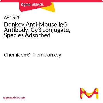 Donkey Anti-Mouse IgG Antibody, Cy3 conjugate, Species Adsorbed，500UG，AP192C，Sigma