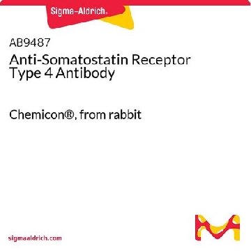 Anti-Somatostatin Receptor Type 4 Antibody，50UG，AB9487，Sigma