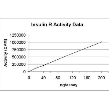 Insulin Receptor Protein, active, 10 µg，10UG，14-466，Sigma