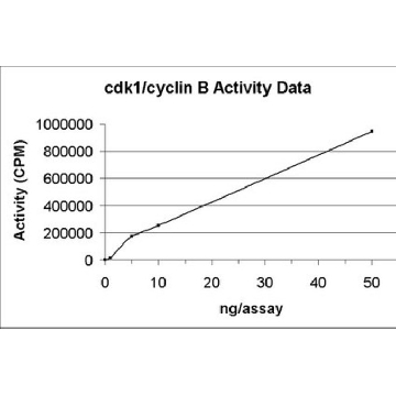 Cdk1/cyclin B蛋白，活性，10 µg，10UG，14-450，Sigma