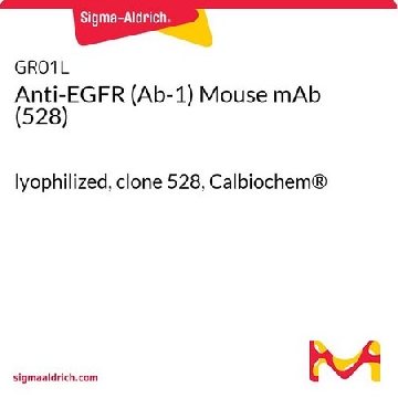Anti-EGFR (Ab-1) Mouse mAb (528)，100UG，GR01L-100UGCN，Sigma
