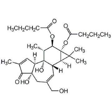 佛波醇-12,13-二丁酸酯，5MG，524390-5MGCN，Sigma