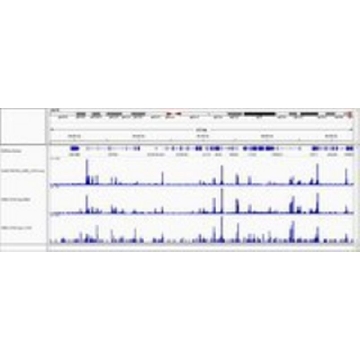 Digitonin solution，1SA，CHR103，Sigma