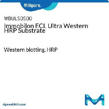 Immobilon ECL Ultra Western HRP底物，500ML，WBULS0500，密理博