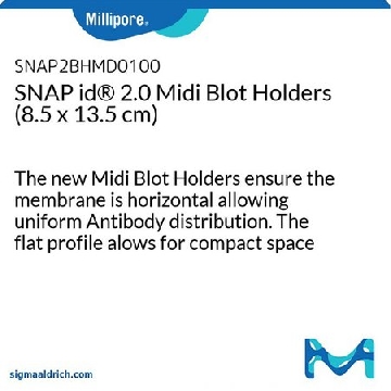 SNAP id® 2.0 中型印迹支架（8.5 x 13.5 cm），100PKG，SNAP2BHMD0100，密理博