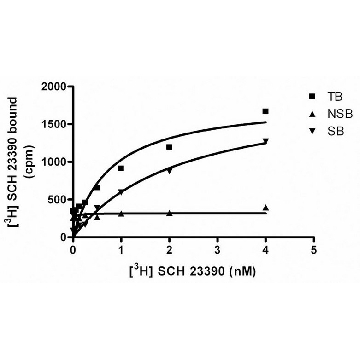 ChemiScreen D₅ Dopamine Receptor Membrane Preparation，200UNITS，HTS129M，Sigma