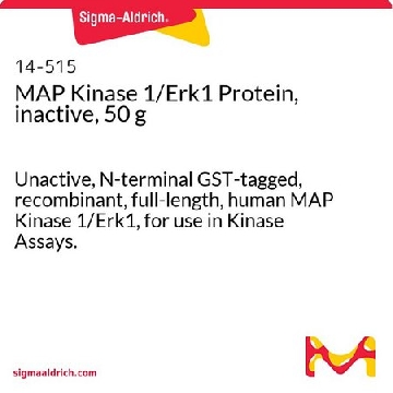 MAP激酶1/Erk1蛋白，失活，50 g，50UG，14-515，Sigma