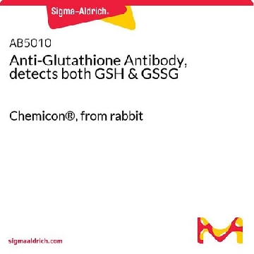 抗谷胱甘肽抗体，可检测GSH & GSSG，500UL，AB5010，Sigma