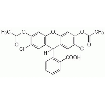 2′,7′-二氯荧光素二醋酸盐，100MG，287810-100MGCN，Sigma