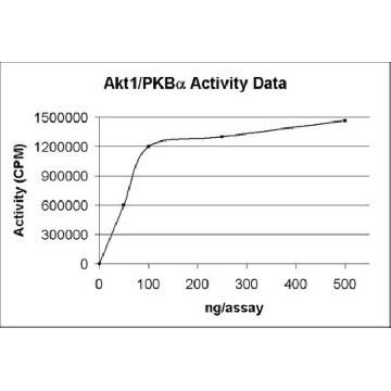 Akt1/PKBα Protein, active, 15 µg，250UG，14-276M，Sigma