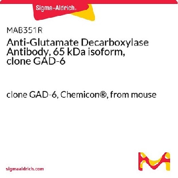 Anti-Glutamate Decarboxylase Antibody, 65 kDa isoform, clone GAD-6，100UG，MAB351R，Sigma