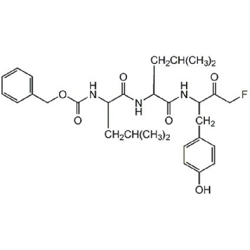 钙蛋白酶抑制剂IV，1MG，208724-1MGCN，Sigma