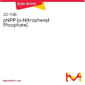 pNPP（对硝基苯基磷酸酯），10MG，20-106，Sigma