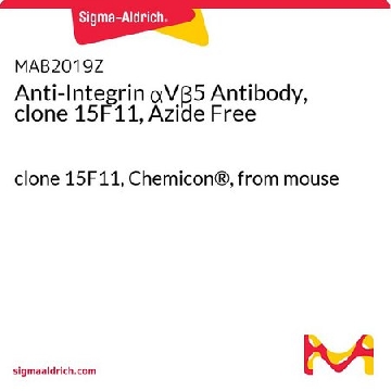 Anti-Integrin αVβ5 Antibody, clone 15F11, Azide Free，100UG，MAB2019Z，Sigma
