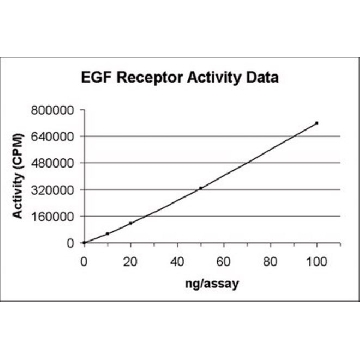 EGFR蛋白，活性，10 µg，10UG，14-531，Sigma